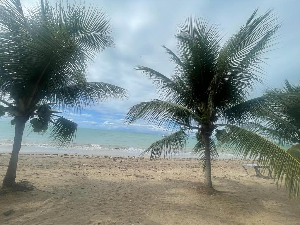 Apartamento Em Peroba - Maragogi Luaran gambar